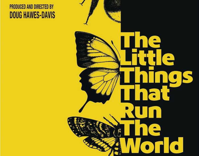 Yellow and black poster for The Little Things That Run the World