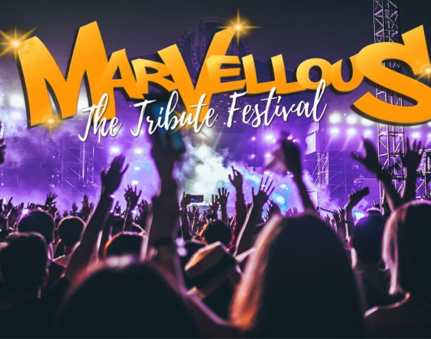 Marvellous Festival 2025 logo