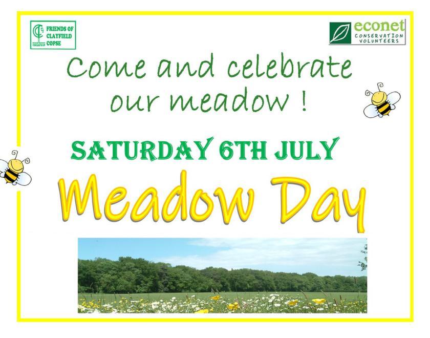 Meadows Day at Clayfield Copse