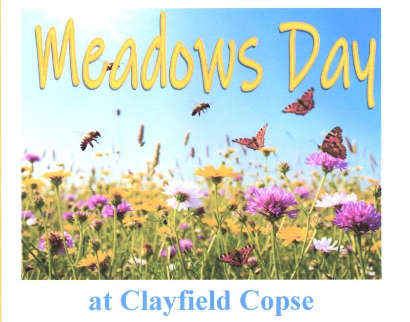 "Meadows Day at Clayfield Copse" over an image of a meadow