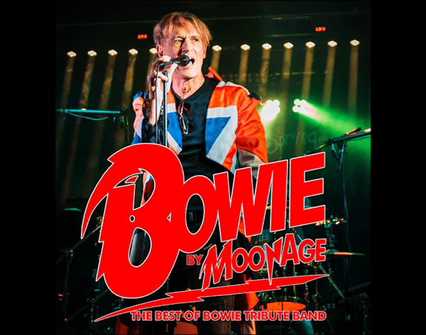 Bowie Tribute