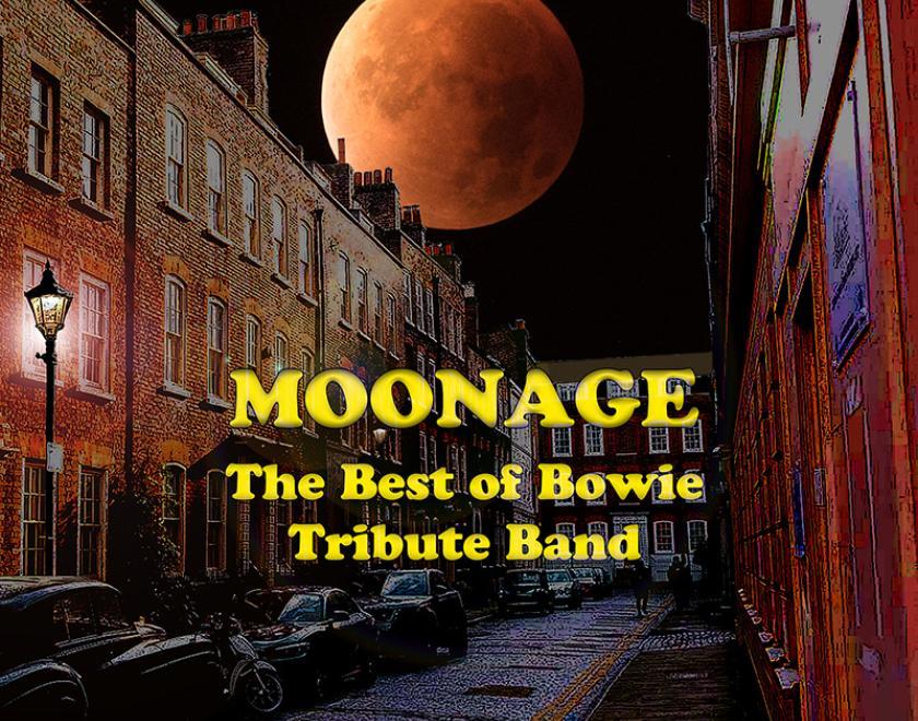 Moonage - The Best of Bowie Tribute Band Live