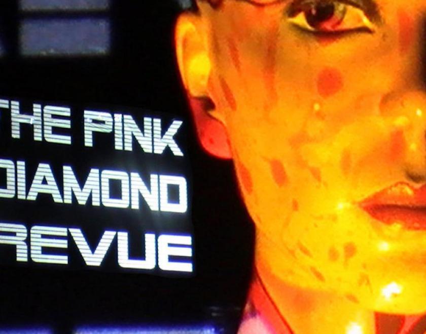 pink diamond revue logo with a close up of a mannequin head