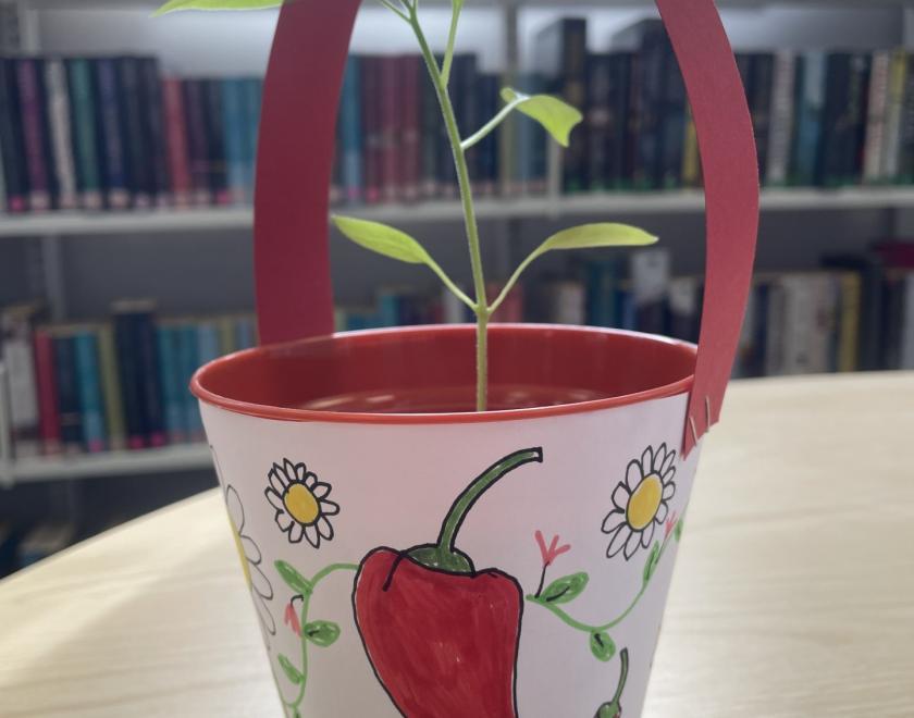 Image of a decorated pot containing a small plant