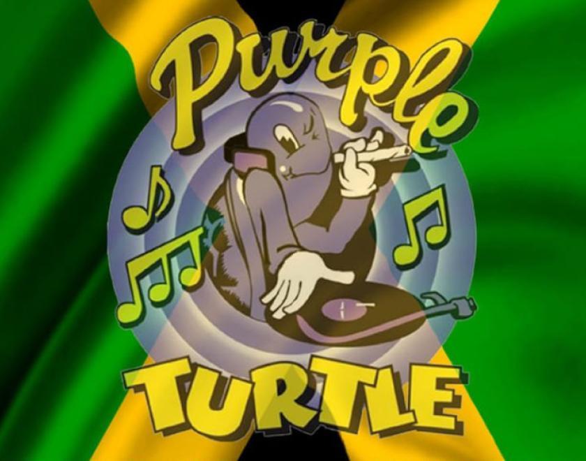 Purple Turtle logo on Jamaican flag