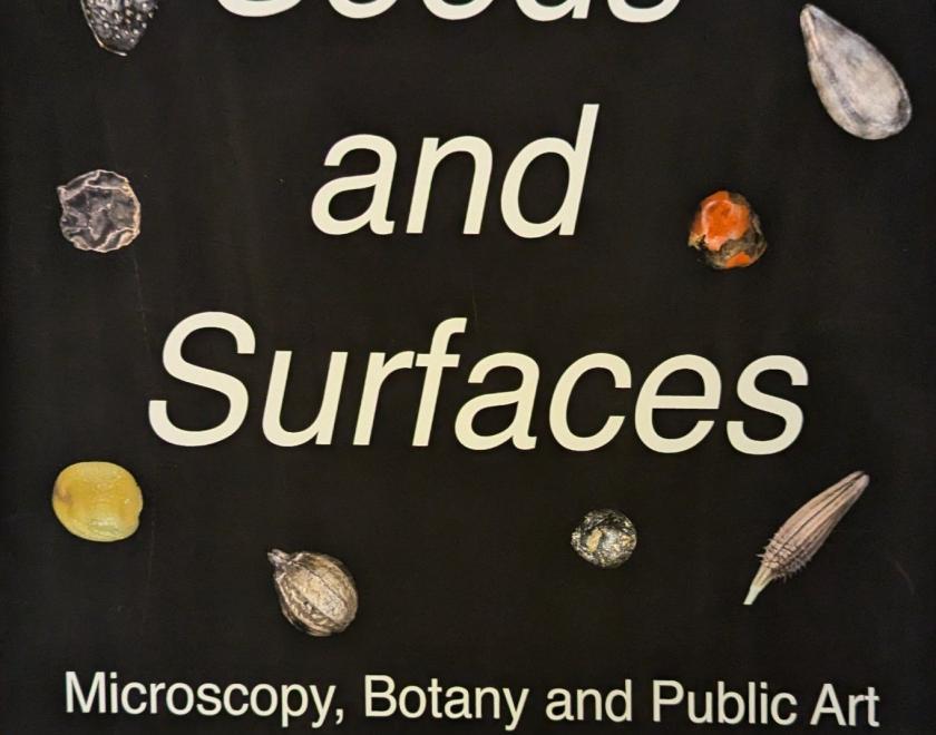 black background with a number of seeds dotted across, and the title "Seeds and Surfaces" in the centre