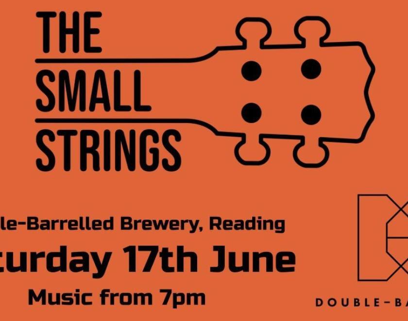 The Small Strings - Live at Double-Barrelled Brewery