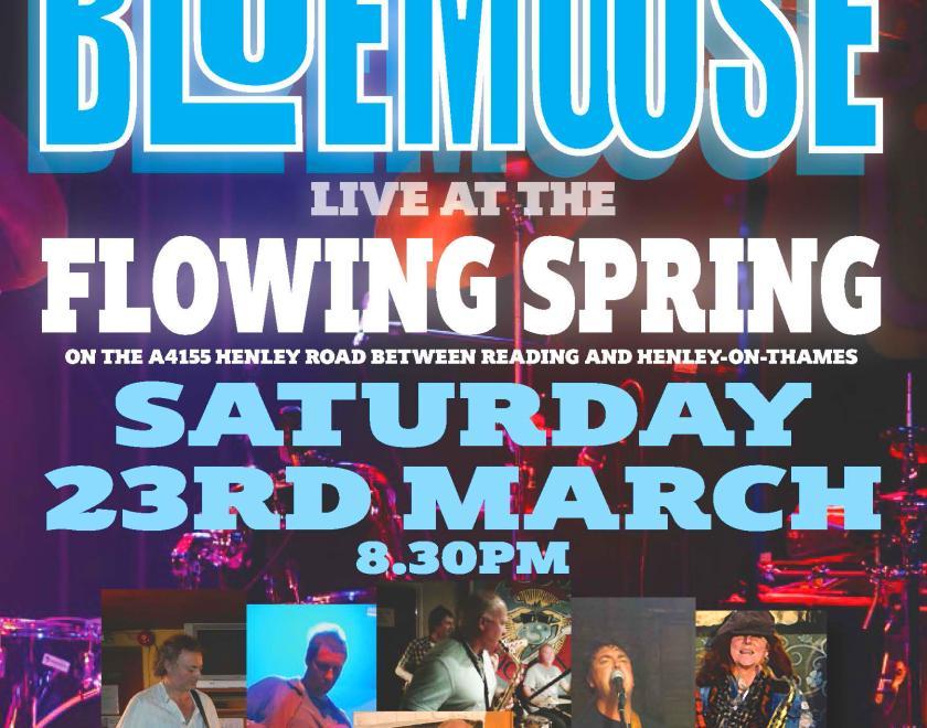 Blue Moose Blues Band at The Flowing Spring