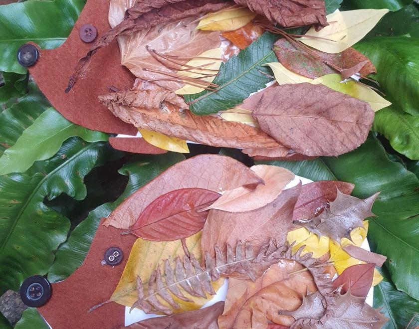 Colourful image of a crafted hedgehog made from autumn leaves