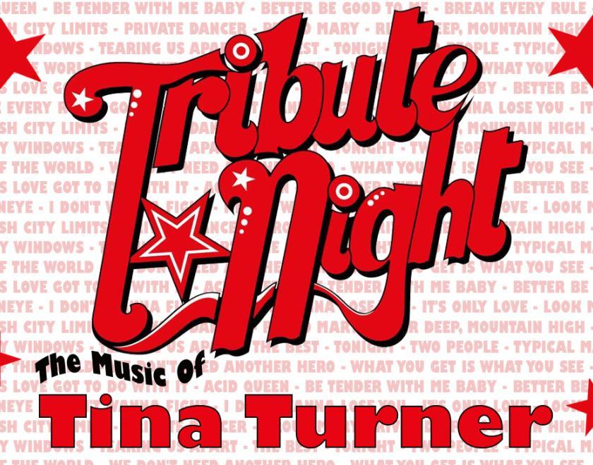 Tribute Night: Tina Turner logo