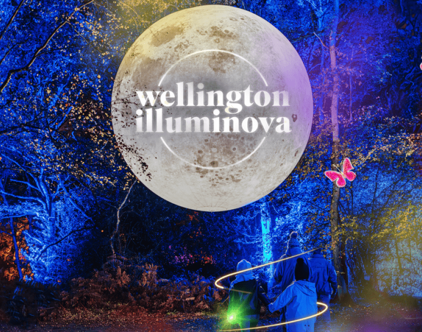 Wellington Illuminova light trail at Wellington Country Park