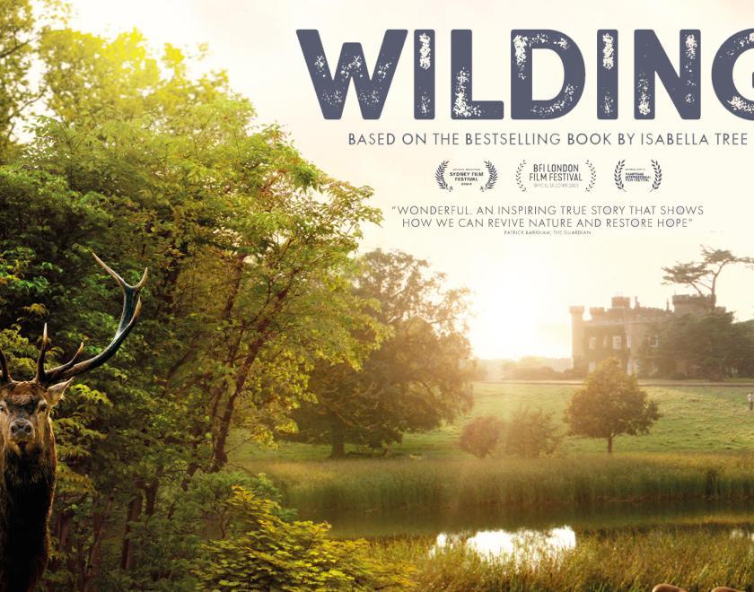 Wilding movie poster with a stag tanding in a field with a castle in the background